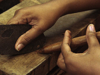 La Casa del Habano - negozio La Casa del Habano - lavorazione del sigaro