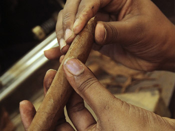 La Casa del Habano - lavorazione del sigaro La Casa del Habano - lavorazione del sigaro