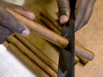 La Casa del Habano - negozio La Casa del Habano - lavorazione del sigaro