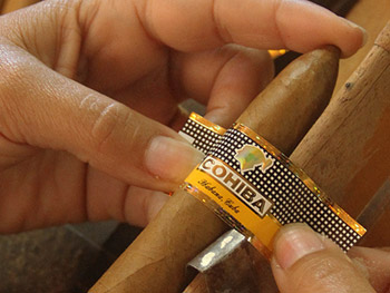 La Casa del Habano - negozio La Casa del Habano - lavorazione del sigaro
